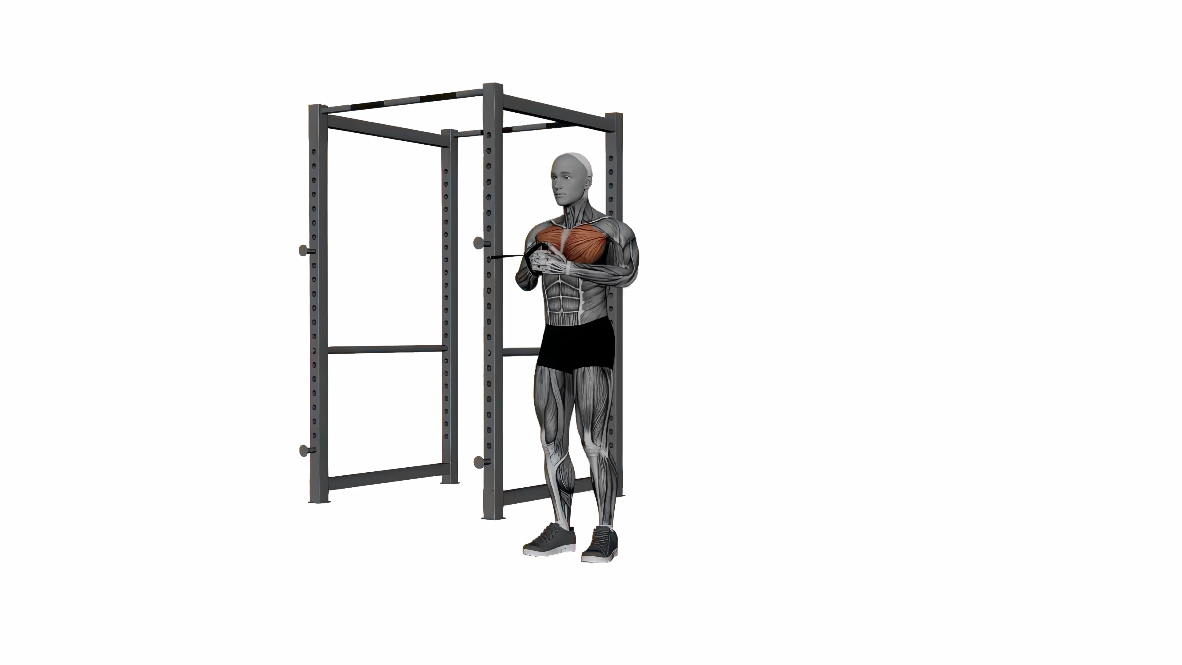 Pallof Press
