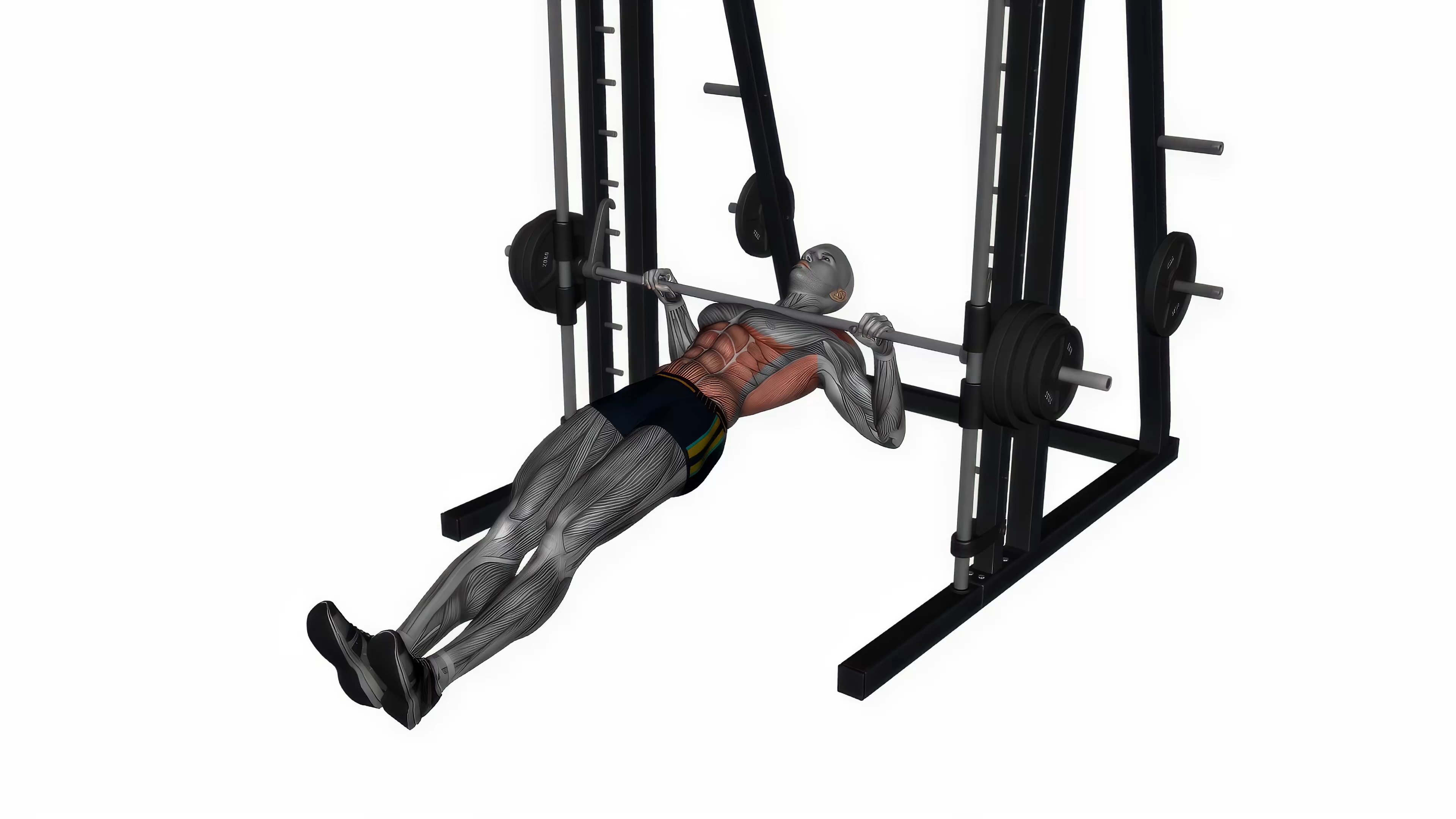 Inverted Row