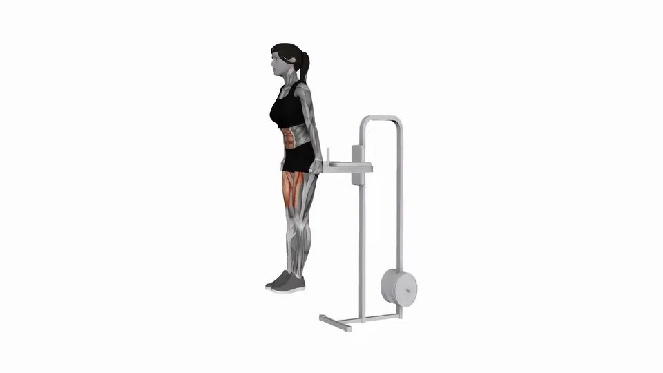 Dip Station Leg Raise