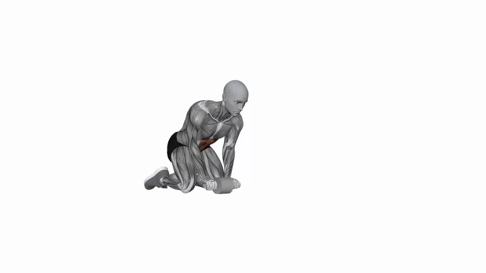 Ab Wheel Rollout