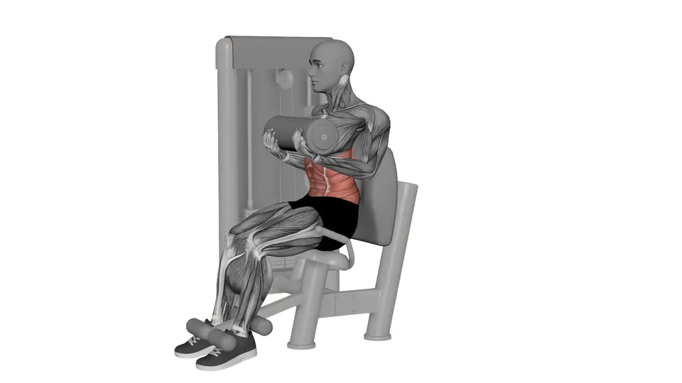 Seated Ab Machine