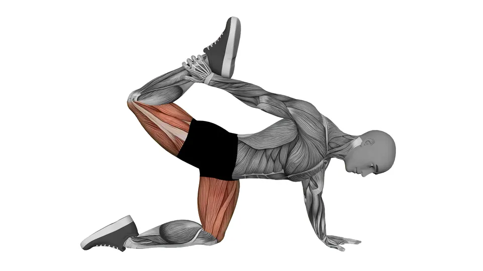All Fours Quad Stretch