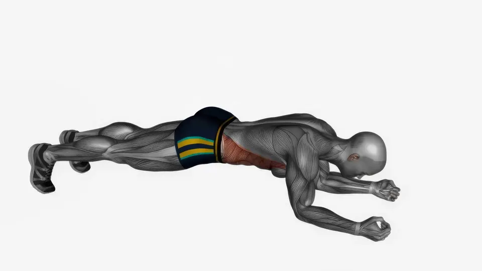 Bird Dog Plank