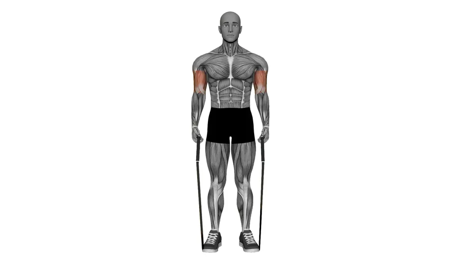 Alternating Resistance Band Curl