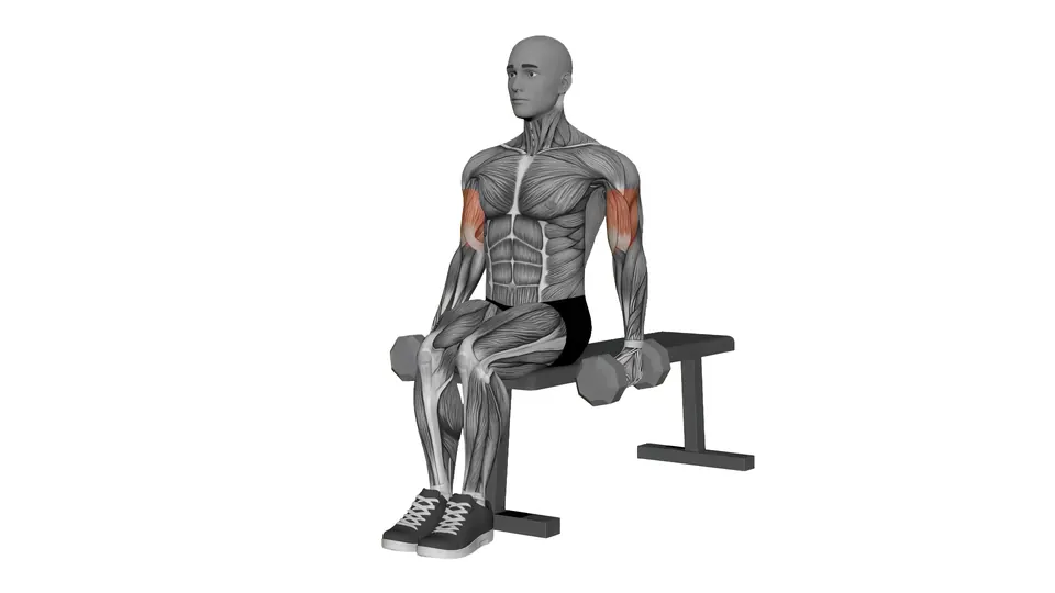 Seated Hammer Curl