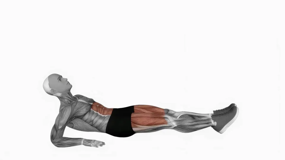 Alternating Forearm Supported Leg Raise