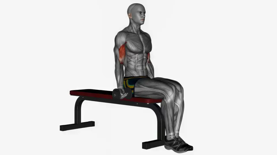 Alternating Seated Dumbbell Curl