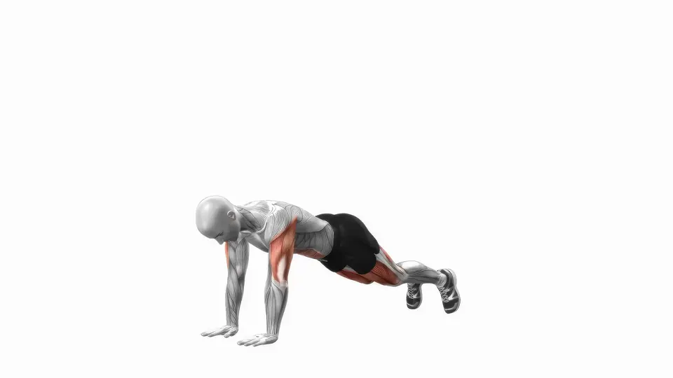 Plank to Lunge with Rotation