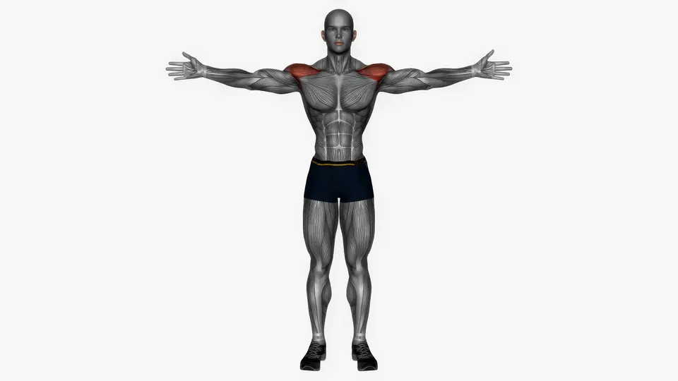 Cross Body Arm Swing