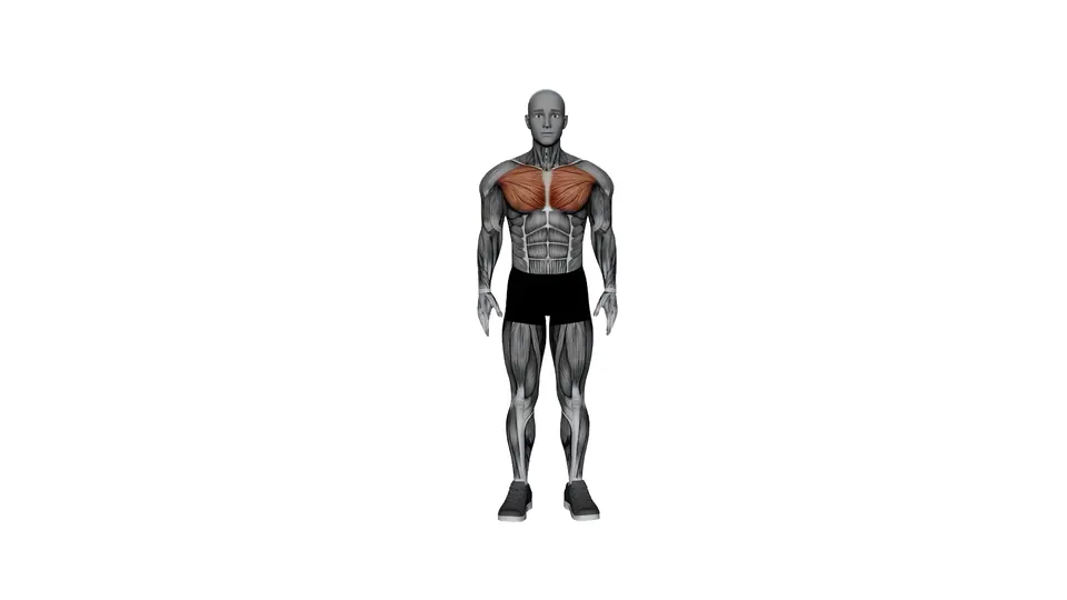 Arms Wide Chest Stretch