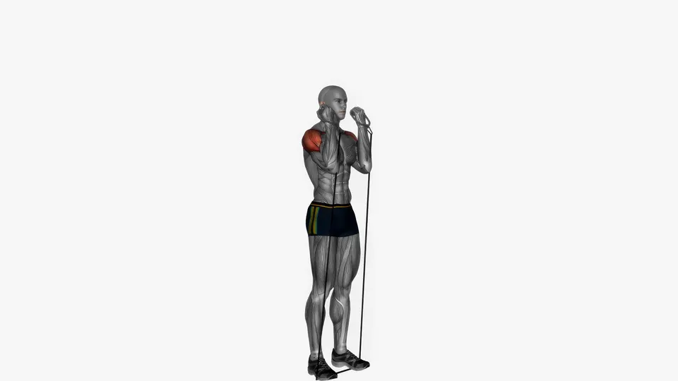 Resistance Band Arnold Press