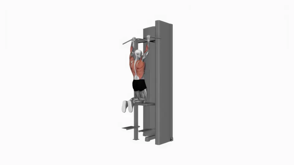 Assisted Pull-Up