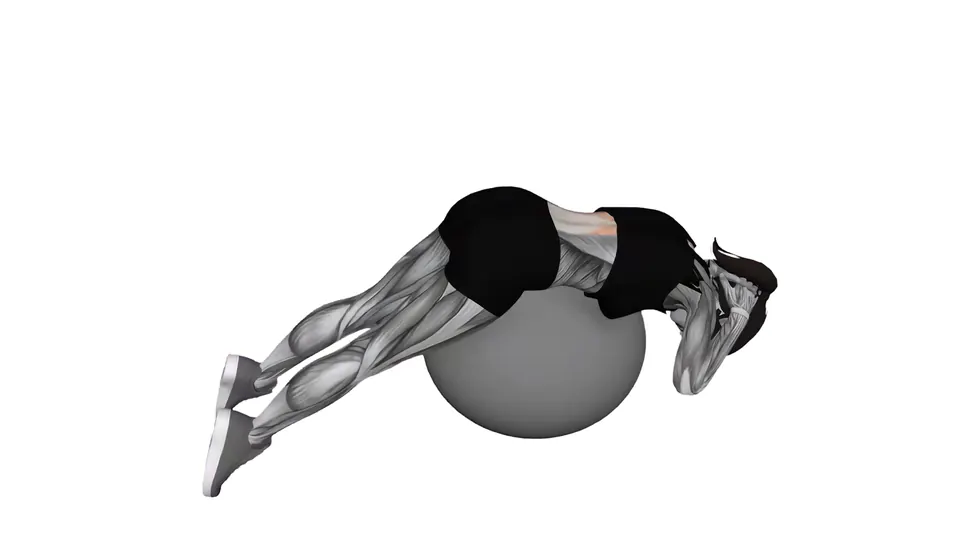 Stability Ball Back Extension