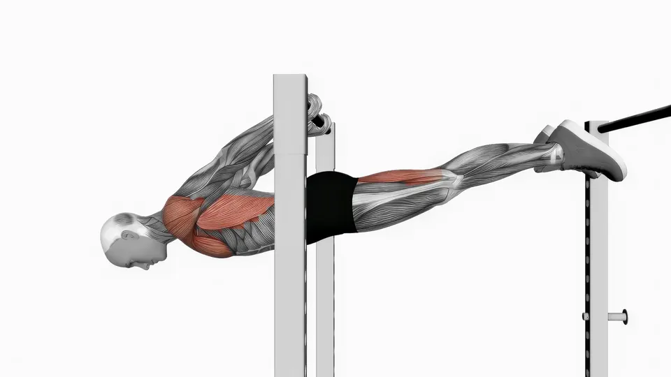 Back Lever Hold