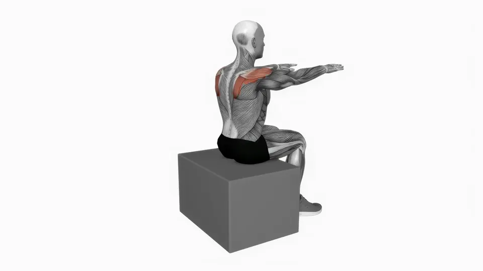 Seated Scapular Retraction