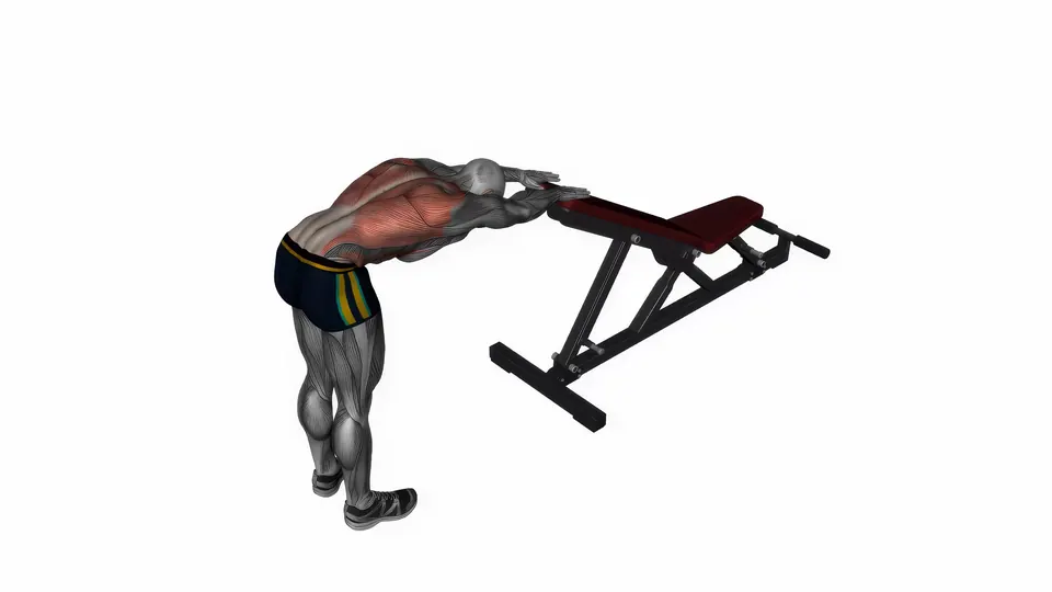 Bench Lat Stretch