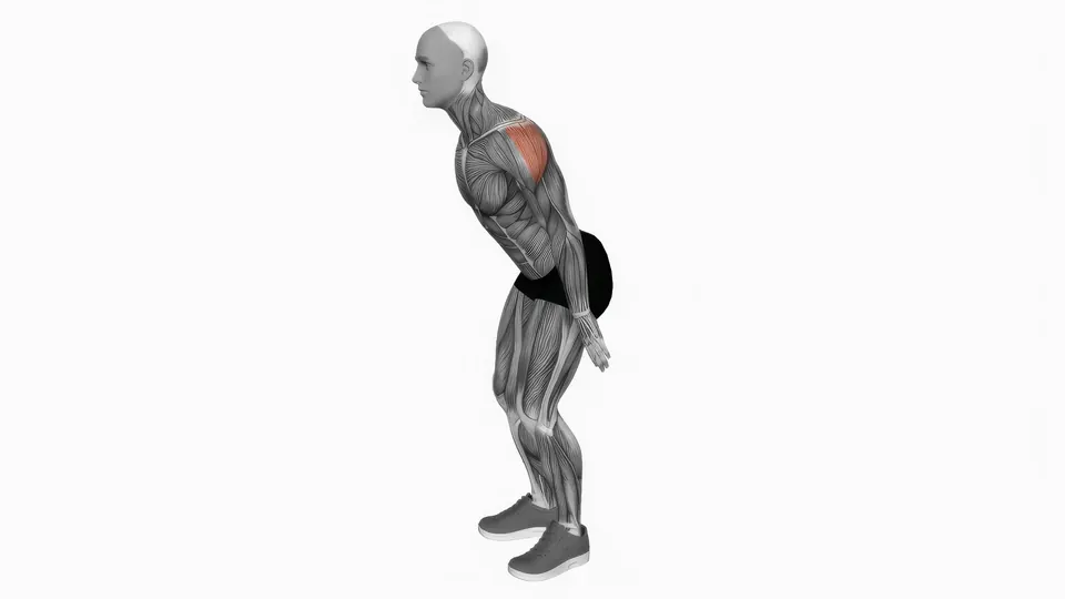 Bodyweight Straight Arm Kickback