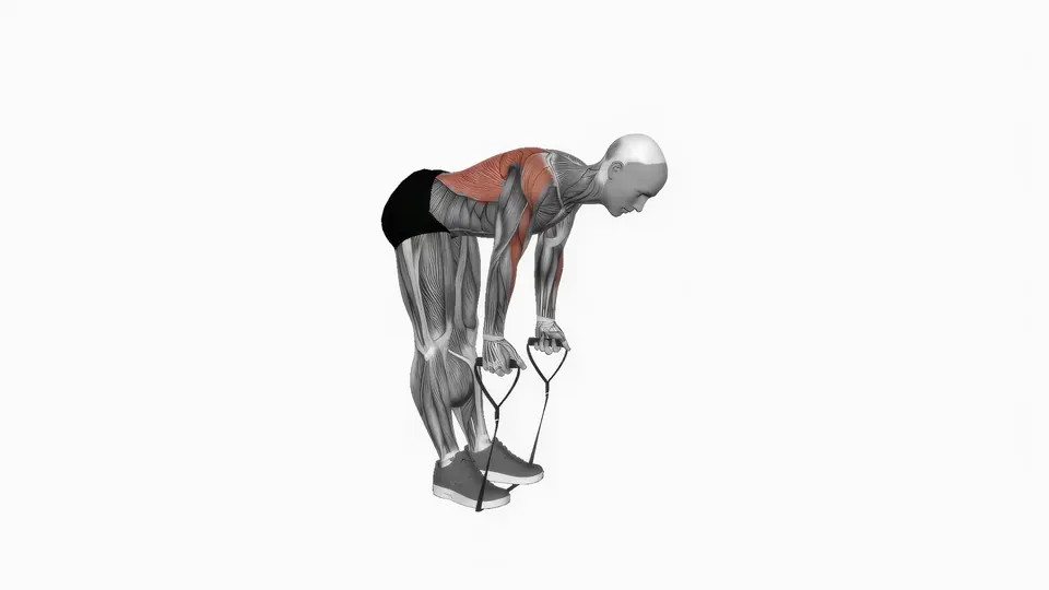 Resistance Band Bent Over Row