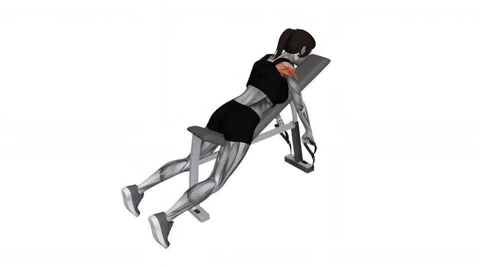 Chest Supported Resistance Band Row