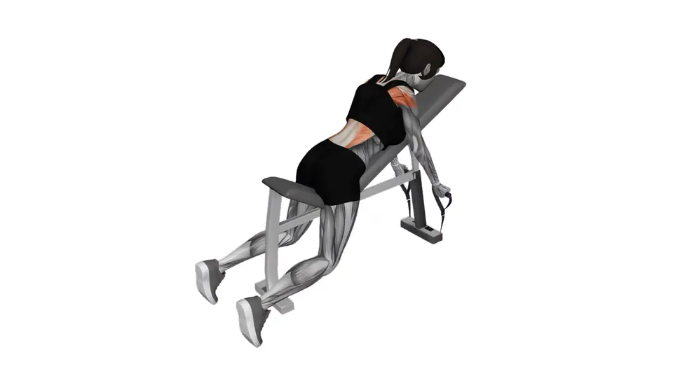 Chest Supported Reverse Grip Resistance Band Row