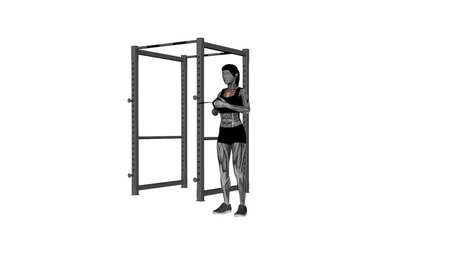 Resistance Band Pallof Press