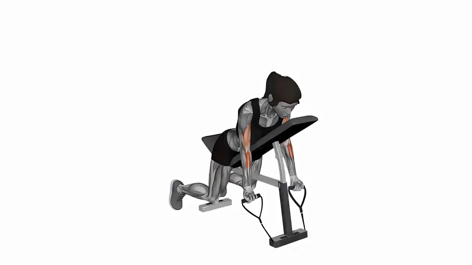 Resistance Band Spider Curl