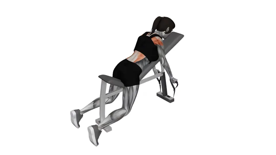 Chest Supported Neutral Grip Resistance Band Row