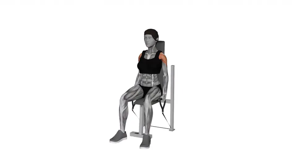 Seated Resistance Band Lateral Raise
