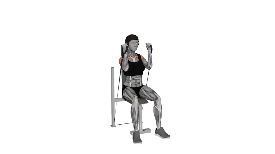 Seated Neutral Grip Resistance Band Shoulder Press