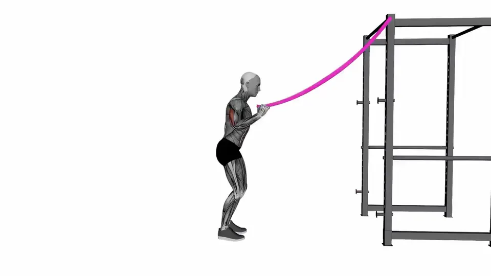 Single Arm Resistance Band Triceps Pushdown