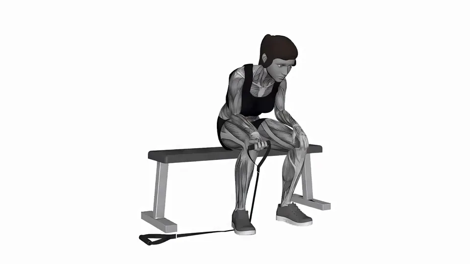 Resistance Band Wrist Curl