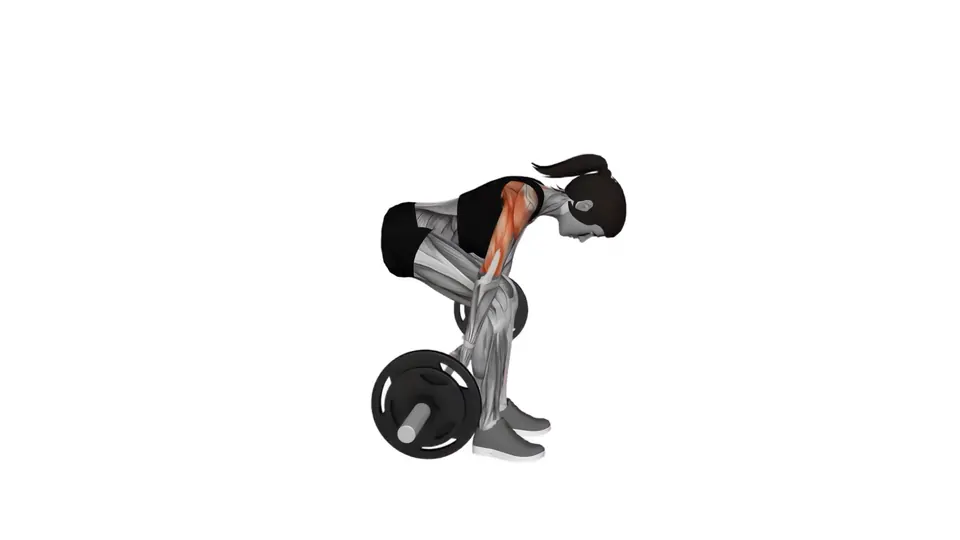 Bent Over Barbell Reverse Raise