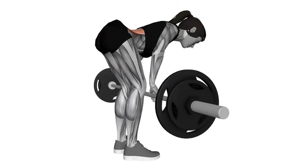 Barbell Bent Over Row