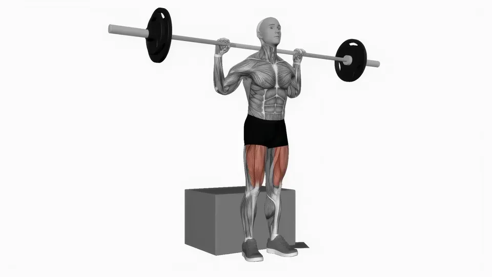 Box Squat