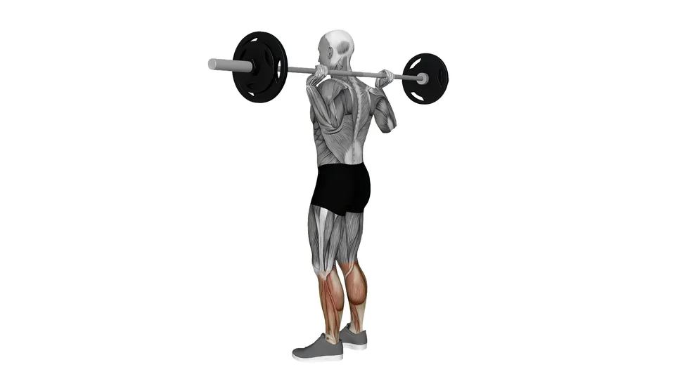 Barbell Explosive Calf Raise
