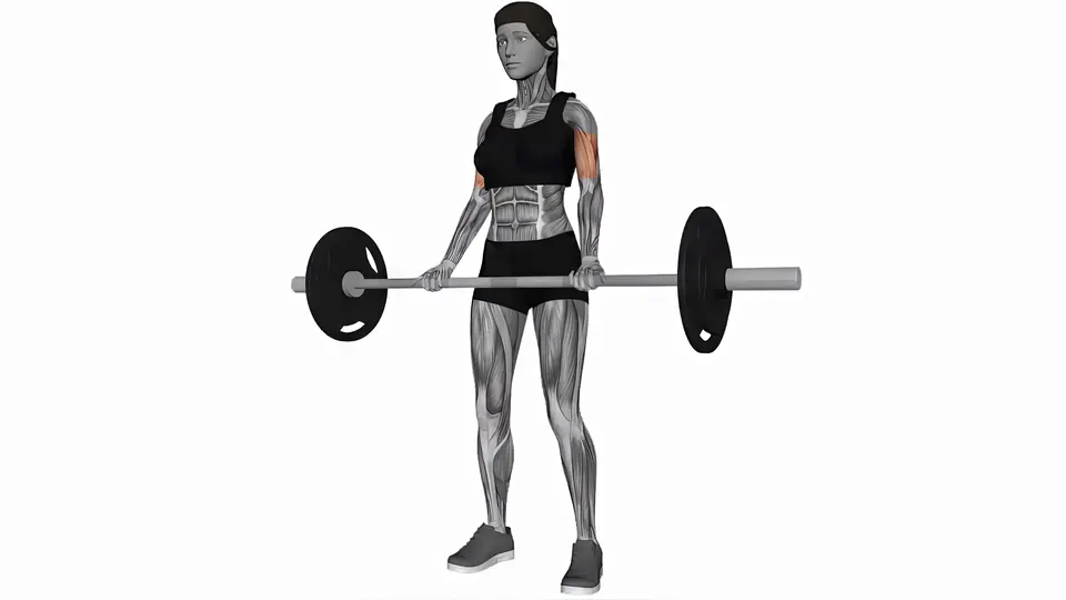 Barbell Curl