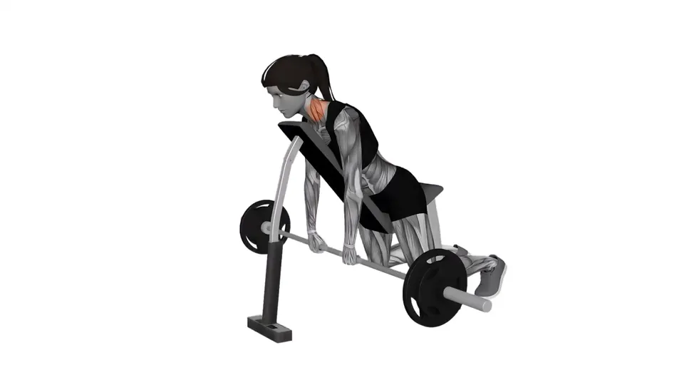 Chest Supported Barbell Shrug
