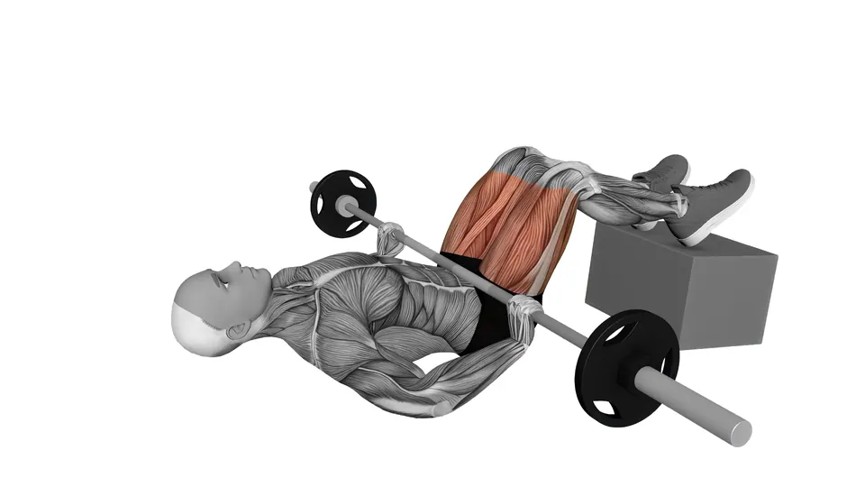 Feet Elevated Barbell Glute Bridge