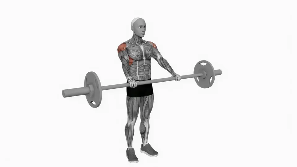 Barbell Front Raise