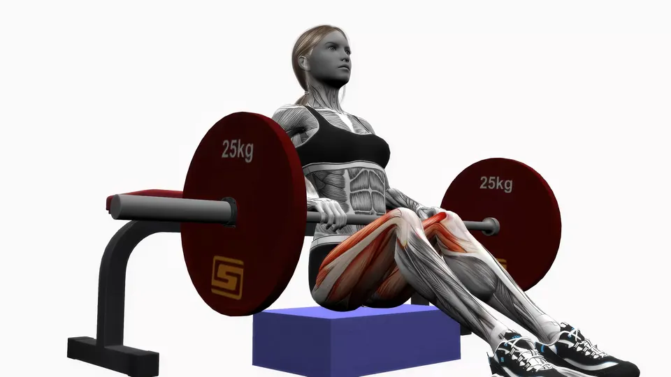 Barbell Hip Thrust