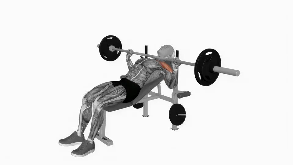 Barbell Incline Bench Press
