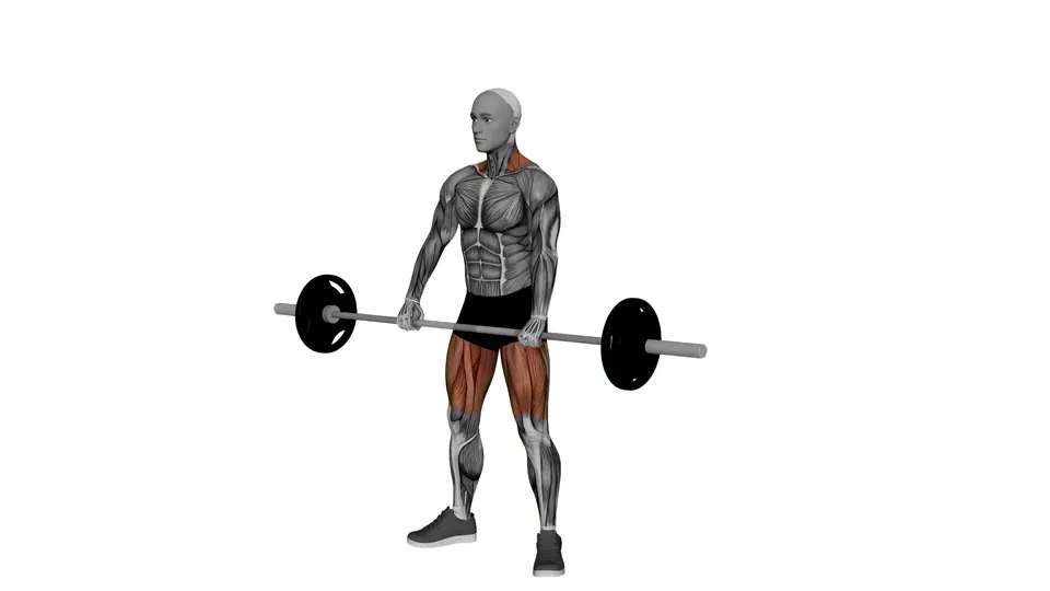 Barbell Jump Shrug