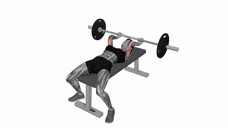 Barbell Skull Crusher