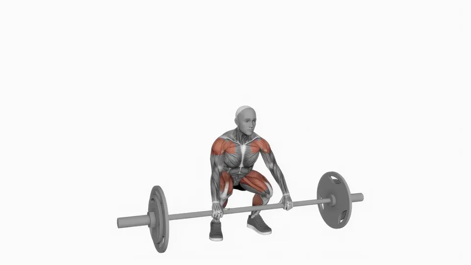 Barbell Muscle Clean