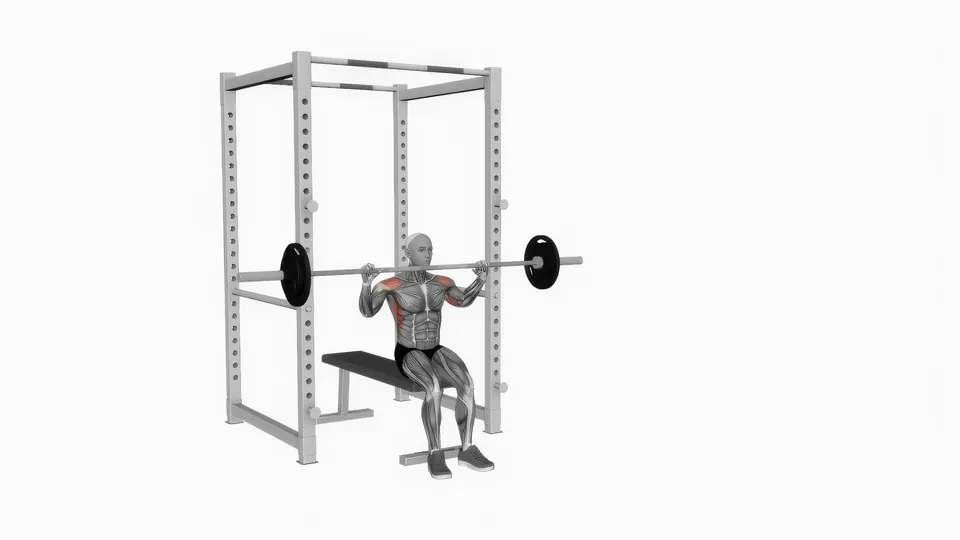 Unsupported Seated Barbell Overhead Press
