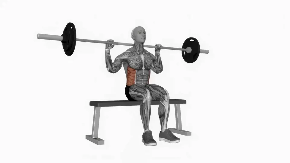 Seated Barbell Twist