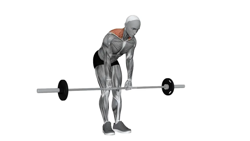 Bent Over Barbell Shrug