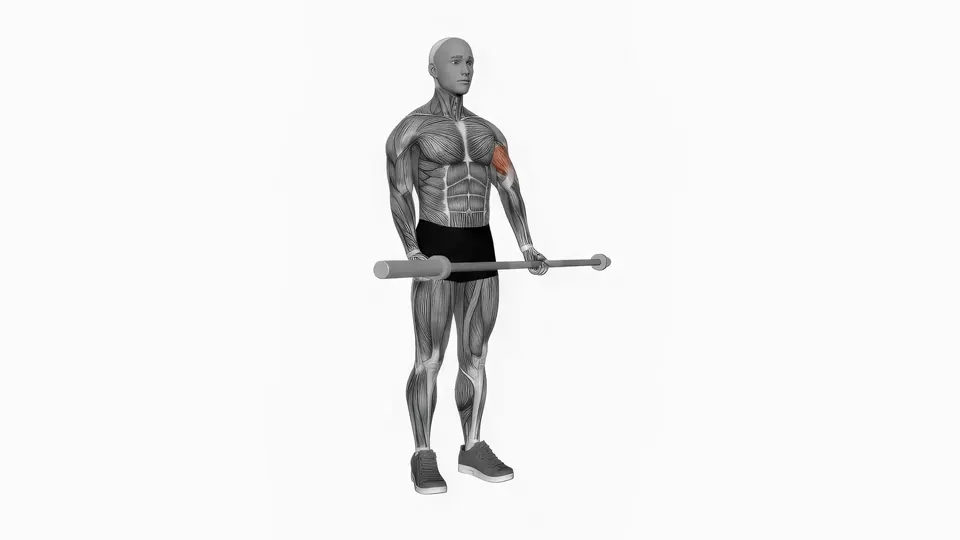 Single Arm Barbell Curl