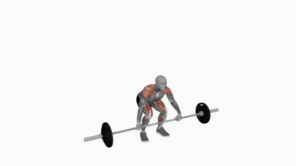 Barbell Snatch