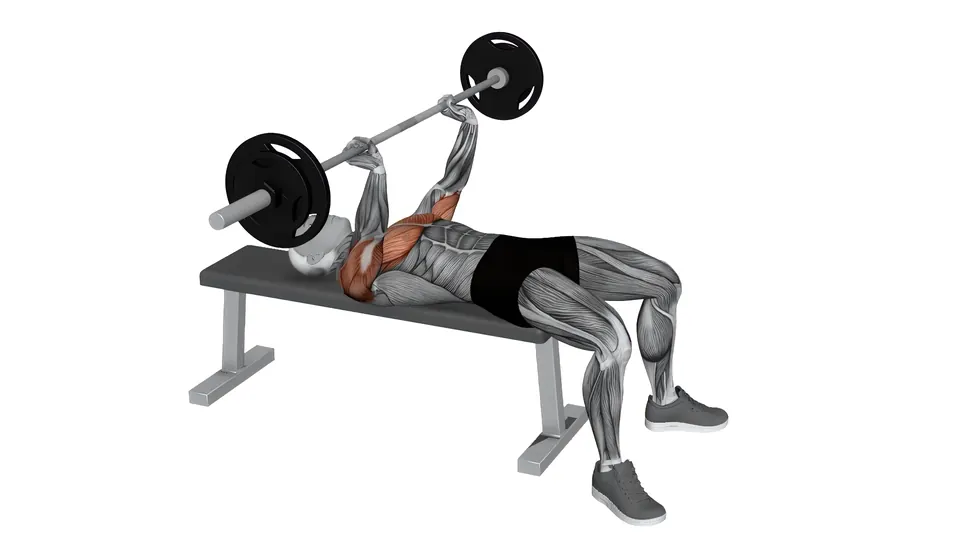 Barbell Spoto Press
